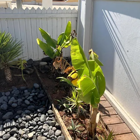 Jardin De * Costa Calma