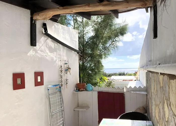 Jardin De Daire Costa Calma