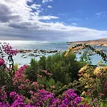 Jardin De * Costa Calma